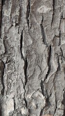 texture