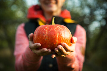 Orange round pumpkin in women's hands on a dark green background. Autumn harvest festival, farming, gardening, thanksgiving, Halloween. Warm atmosphere, natural products. Space for text