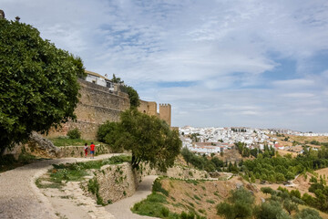 Fototapeta na wymiar Paisajes de Andalucía (Ronda, Málaga)