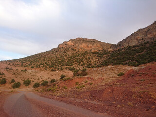 Road in the mountains 