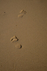 Fototapeta na wymiar Orme sulla sabbia