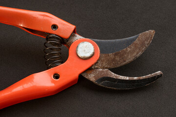 Rusty orange pruning shears on black background