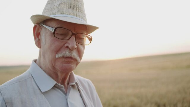 Portrait of senior man eats fresh bread and has pleasure in sunny wheat field