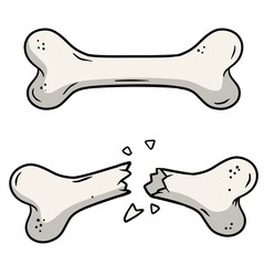 Fototapeta premium Bone fracture. Trauma to the body. Crack and splinters. Dangerous situation and wound. Cartoon flat illustration and dog toy isolated on white background