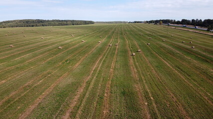 field and haystack
