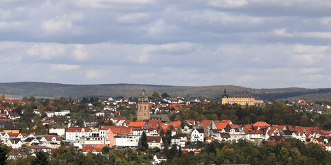 Panorama Stadt Wildungen mit Stadtkirche und Schloss