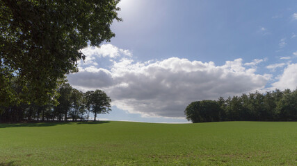 An agricultural field near Groesbeek, the Netherlands