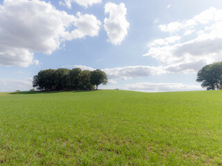 An agricultural field near Groesbeek, the Netherlands