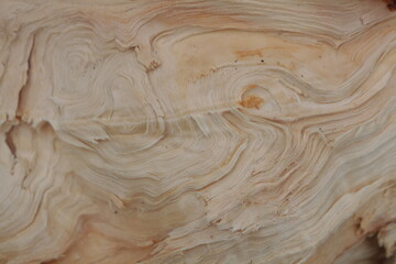 wood texture