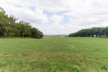 Fototapeta premium An agricultural field near Groesbeek, the Netherlands