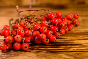 Berries of the rowan tree on wooden table
