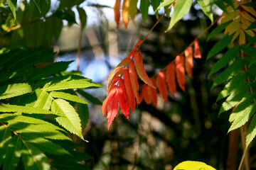 Herbstzeit
