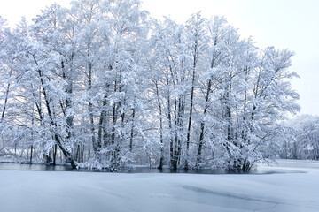 beautiful winter park with snow