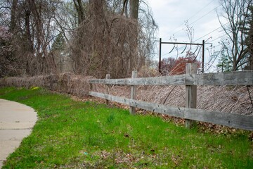 An Old Wooden Fence Covered in Dead Vines Next to a Sidewalk