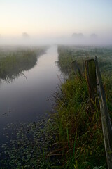 Fence, Brook and Pasture on a Foggy Morning