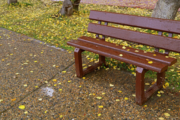 Empty wooden bench with raindrops in the autumn park