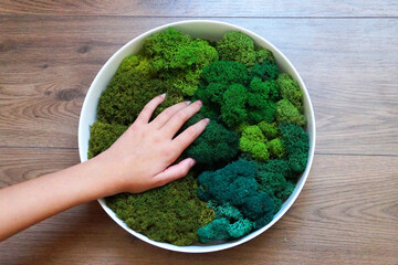 a woman's hand on the round panel of green stabilized moss for ecological interior decoration of an...