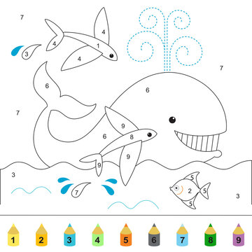 Whale and flying fish. Funny ocean world. Coloring book for children.  Mini-game coloring by numbers.