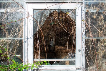 Looking Through a Broken Glass Door Into an Abandoned Greenhouse Full of Dead Vines