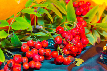 Halloween pumpkin. Candles, bat and glowing pumpkin. Harvest for Halloween. Dark atmosphere for holiday.