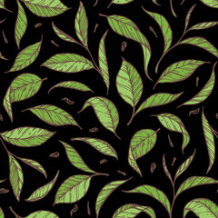 Tea leaf seamless pattern. Hand drawn vector illustration. Packaging design. Colorful green pattern.