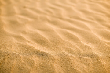 the texture of the sand. sand particles .