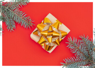 New Year's gift on a red background with white frames, branches of a New Year tree.
