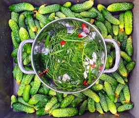 in the sink, in the middle of many cucumbers, there is a pan with spices for pickling, pickling,...