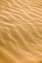 the texture of the sand. sand particles .