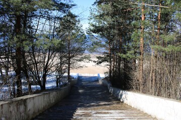 Among the snow-covered pine trees, the steps of the stairs lead to the sandy beach