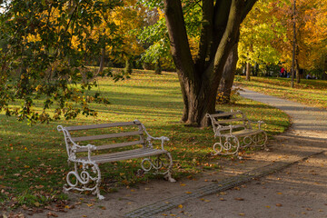 white wrought iron bench near the walkway in the autumn beautiful park Wilanow Poland