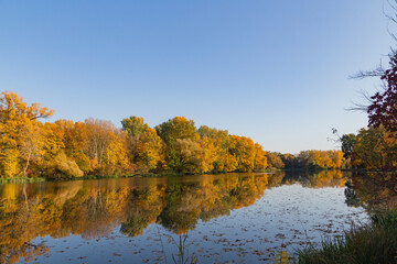 benches along the alley on a walking path at sunset in Wilanow Park Poland in autumn