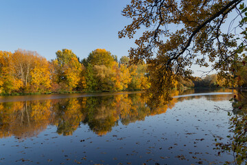 autumn landscape, trees with autumn golden leaves and blue sky reflected in the water, Wilanow Park Poland, a tributary of the Vistula River