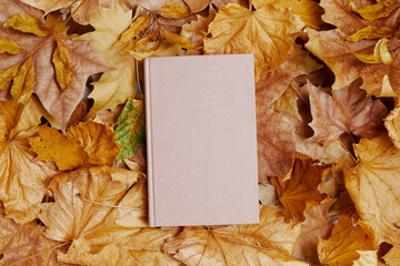autumn flat lay with leaves and book