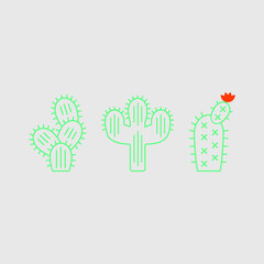 Green Cactus, 3 Catcti, Orange Flower Bloom
