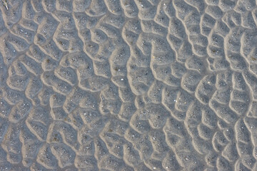 Beach texture, low tide beach, sand structure