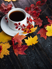 A white espresso Cup on a wooden table with yellow and red maple leaves and a barberry branch