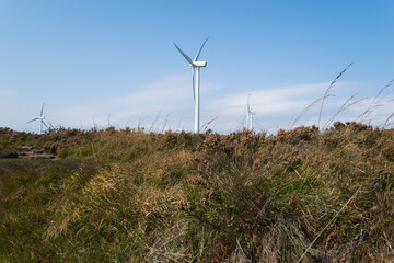 wind turbine in the field