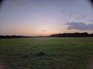 sunset over the field