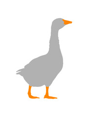 Design Gans Silhouette 