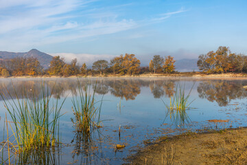 Fototapeta premium Beautiful autumn landscape with yellow trees and their reflection in the lake. Bright Sunny autumn day. Yellow trees in a blue sky. Horizontal panorama with a light haze. A little fog over the water.