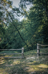 Fototapeta premium Wooden fence and beautiful mysterious autumn forest
