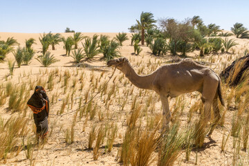 Oasis in the Sahara desert in Chad