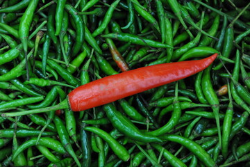 red hot chilli peppers against green chilli peppers
