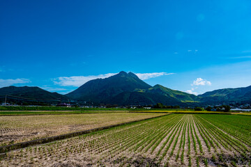 Fototapeta premium 由布岳 