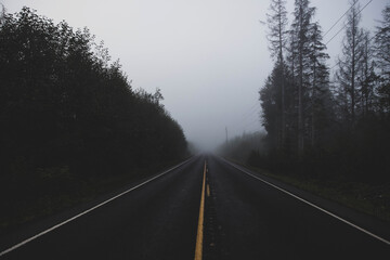 Quiet foggy road on a dark empty two lane road in a forest near Forks, Washington in the Olympic...