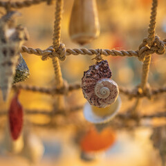A group of colorful shells tied with a rope