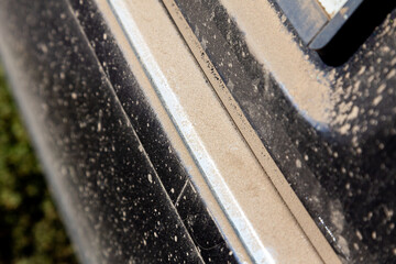 Fototapeta premium Details of the black car covered with dust.