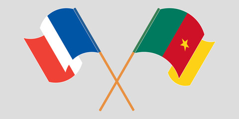 Crossed and waving flags of Cameroon and France