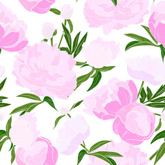 peonies seamless pattern.Elegant floral background, hand drawing.Background for invitations, cards, packaging, wallpaper